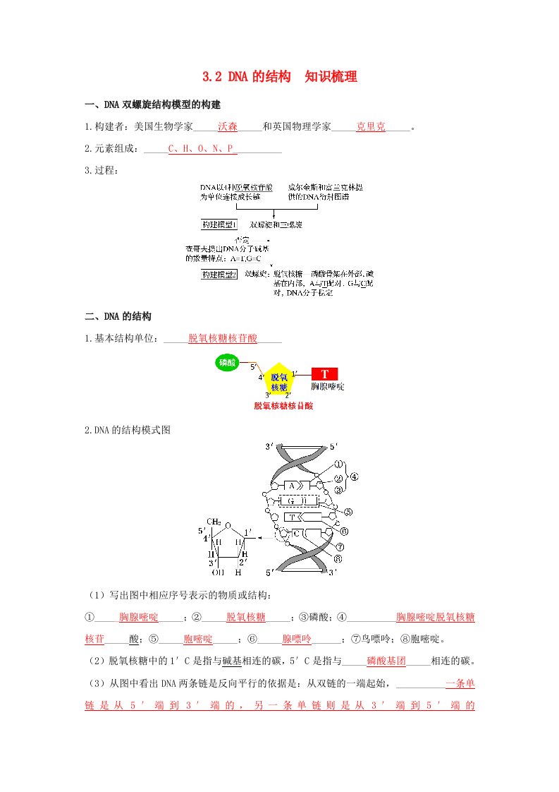 高中生物3.2DNA的结构知识梳理新人教版必修2