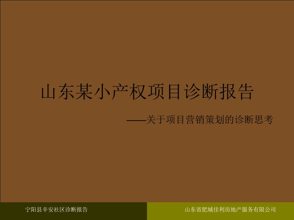 山东某小产权项目诊断报告——关于项目营销策划的诊断思考