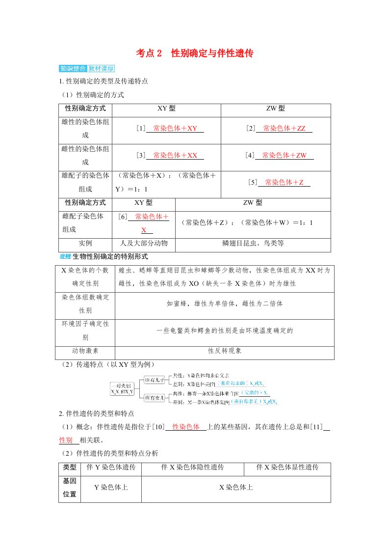 备考2025届高考生物一轮复习讲义第五章基因的传递规律课时3基因在染色体上和伴性遗传考点2　性别决定与伴性遗传