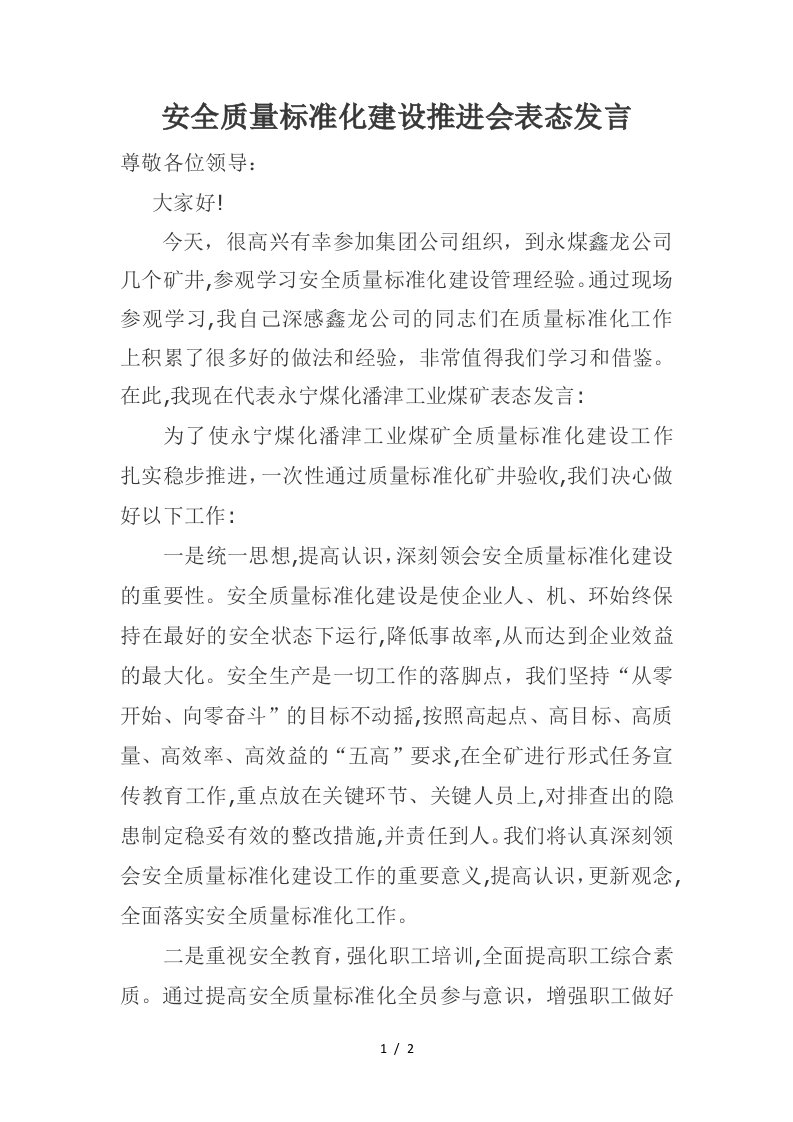 安全质量标准化建设推进会表态发言