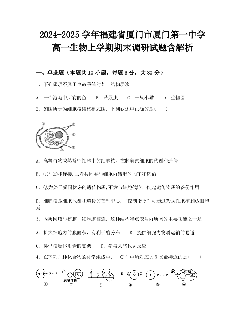 2024-2025学年福建省厦门市厦门第一中学高一生物上学期期末调研试题含解析