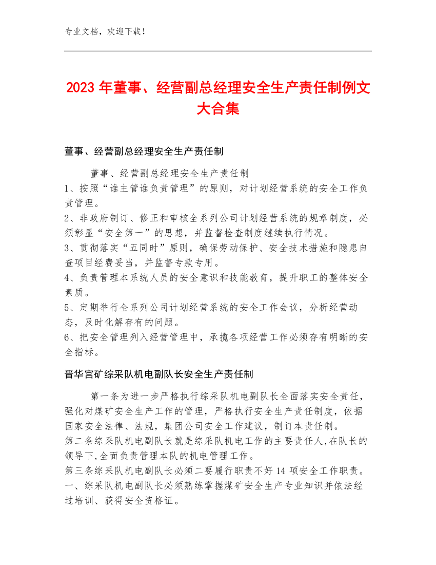 2023年董事、经营副总经理安全生产责任制例文大合集