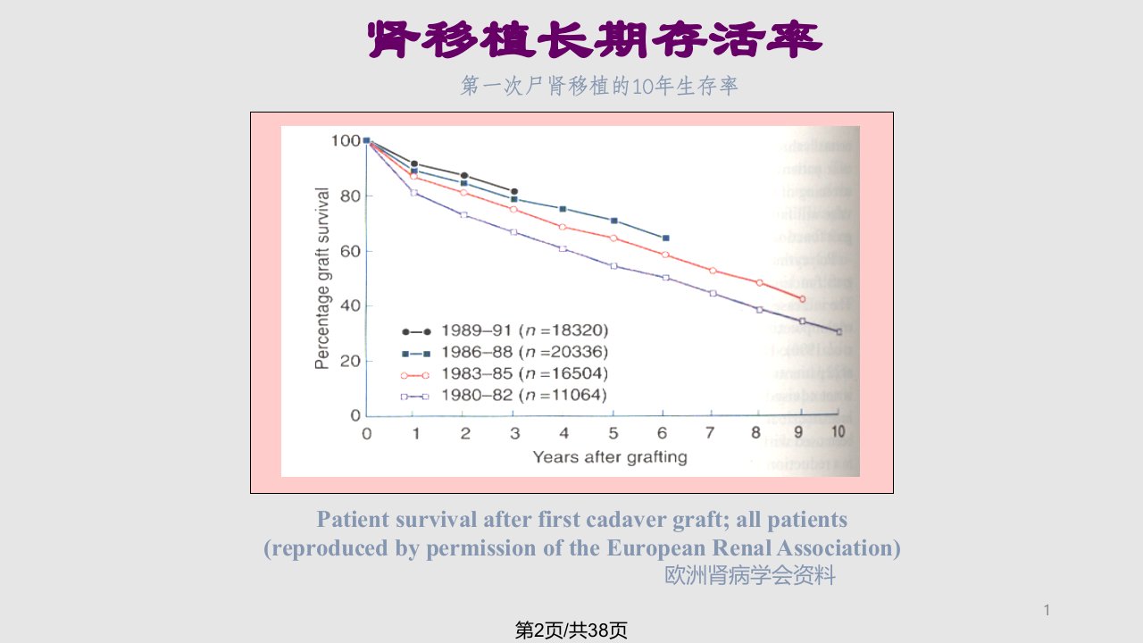 百令拮抗环孢素A肾毒性研究