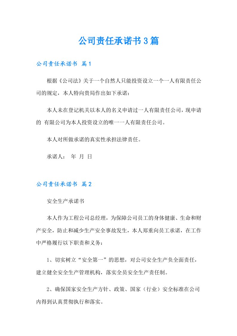 公司责任承诺书3篇