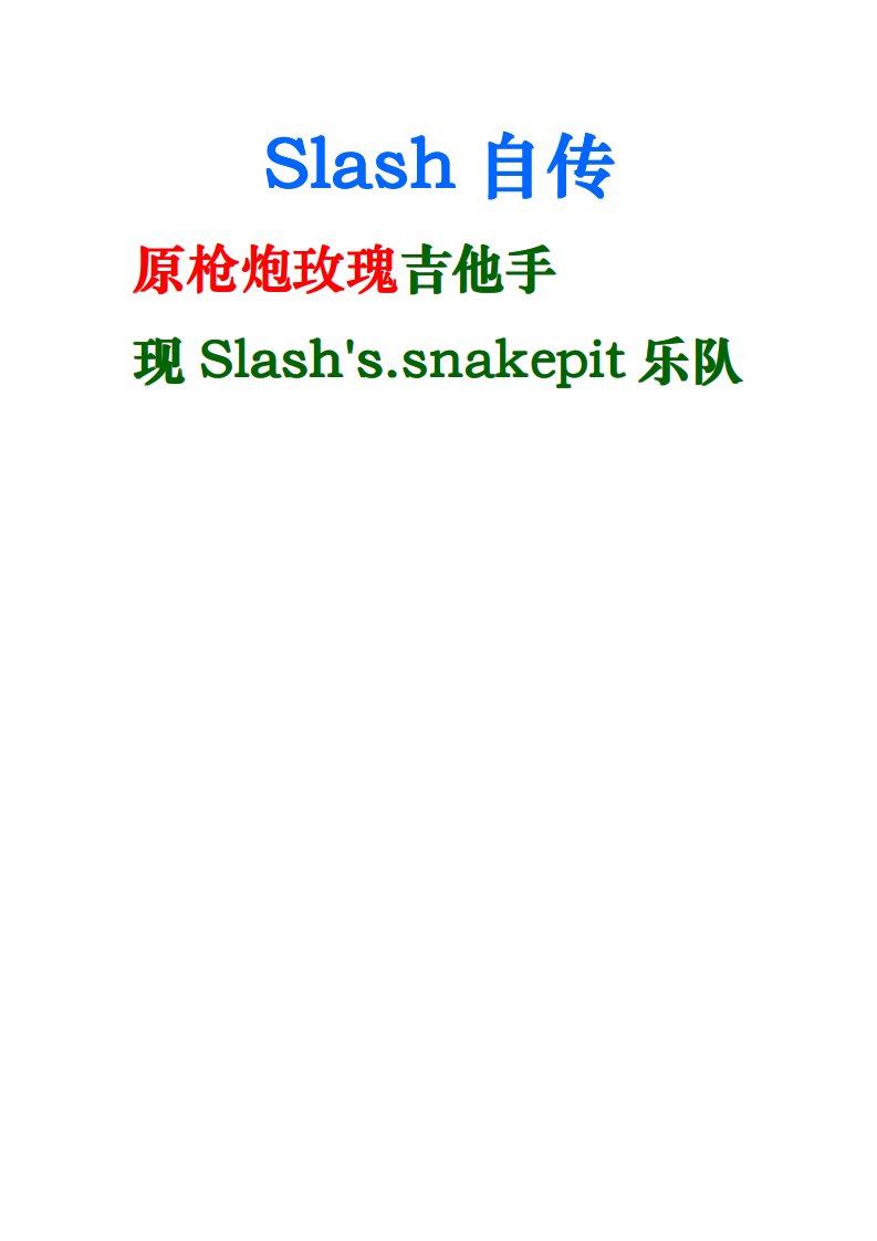 slash自传中文.pdf