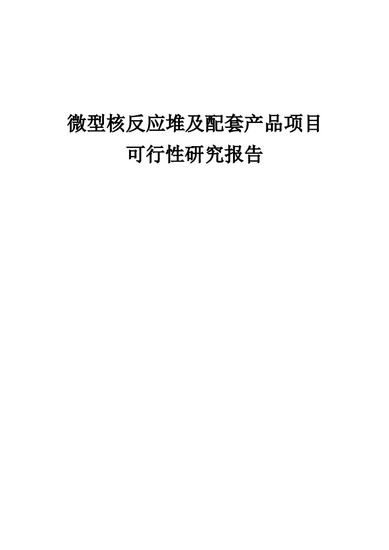 2024年微型核反应堆及配套产品项目可行性研究报告