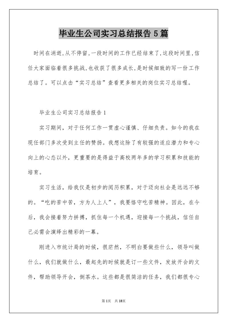 毕业生公司实习总结报告5篇