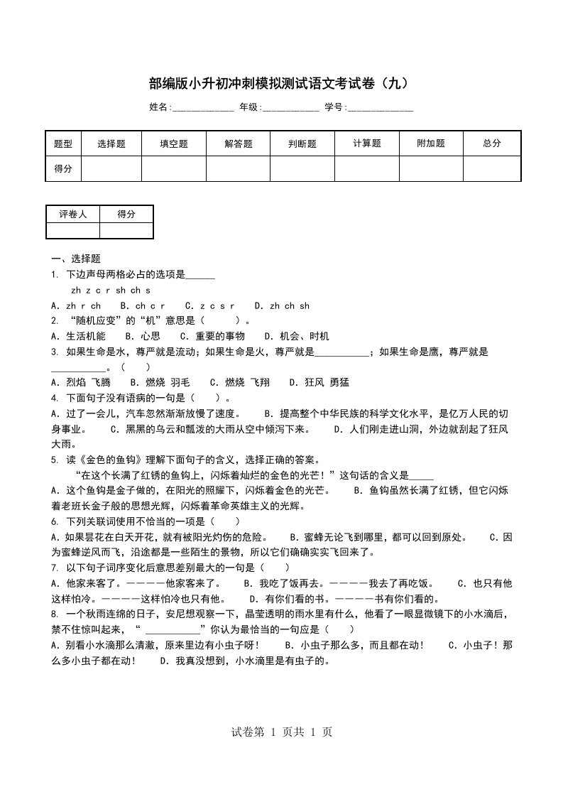 部编版小升初冲刺模拟测试语文考试卷九