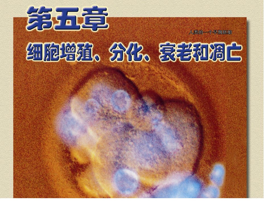 苏教生物第一节细胞增殖省名师优质课赛课获奖课件市赛课一等奖课件