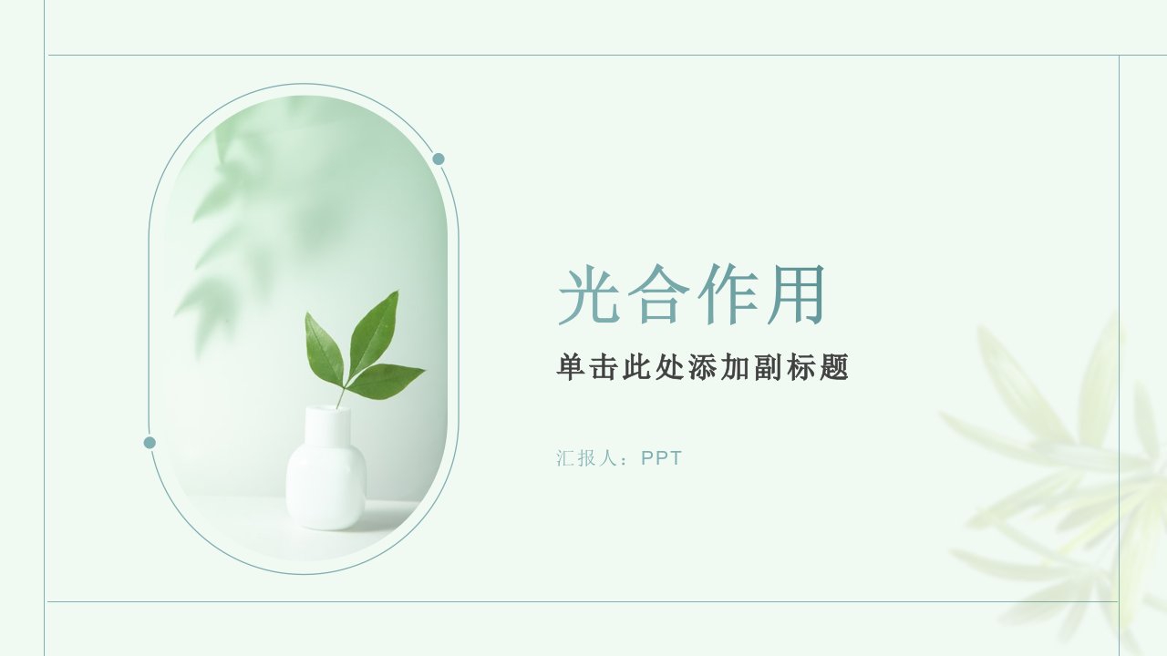 植物学课件第四章光合作用