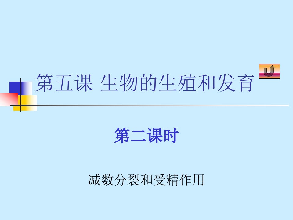 09届高三生物减数分裂和受精作用