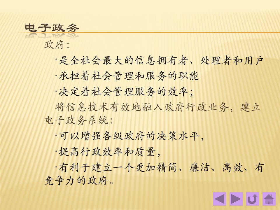 第十三章电子政务管理信息系统第三版PPT课件