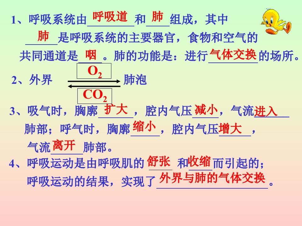 生物的呼吸和呼吸作用（2）