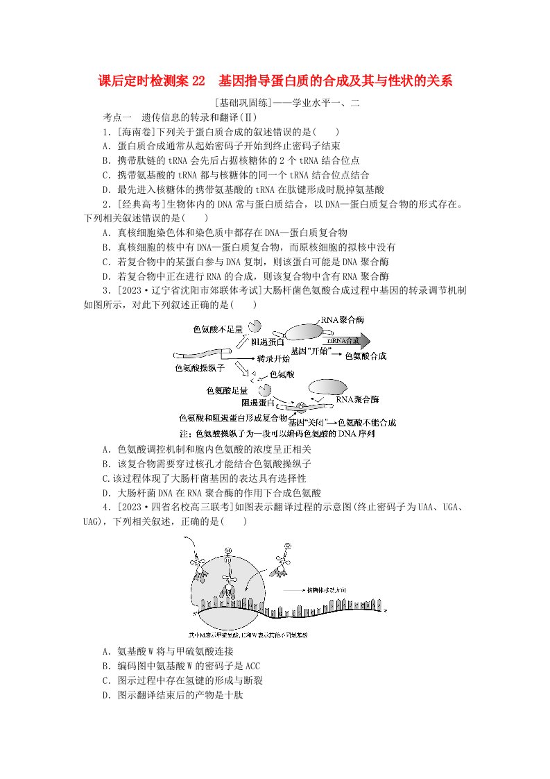 2024版新教材高考生物全程一轮总复习课后定时检测案22基因指导蛋白质的合成及其与性状的关系