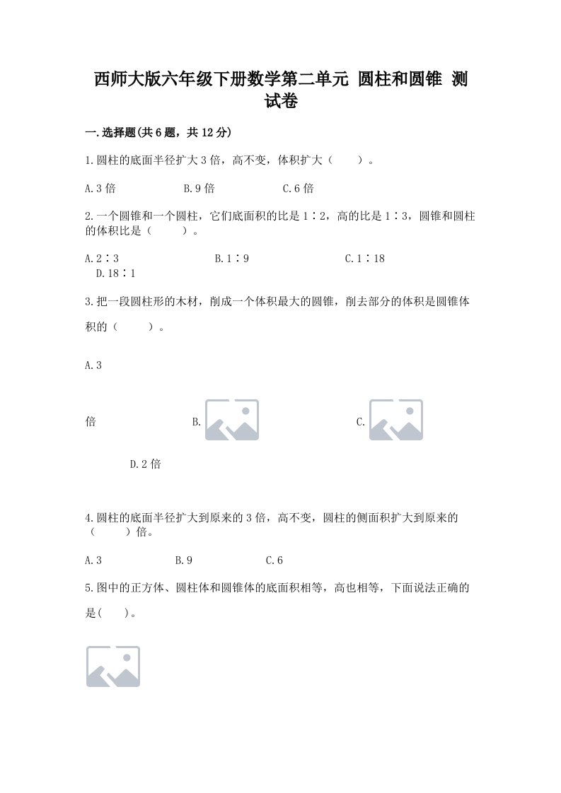 西师大版六年级下册数学第二单元