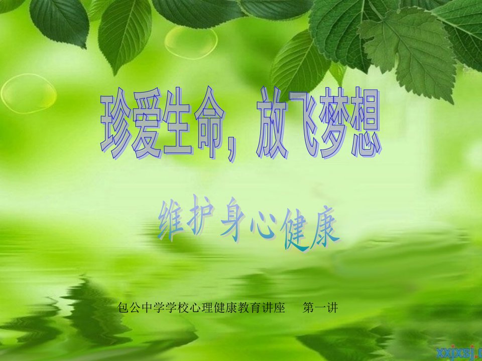 珍爱生命,放飞梦想