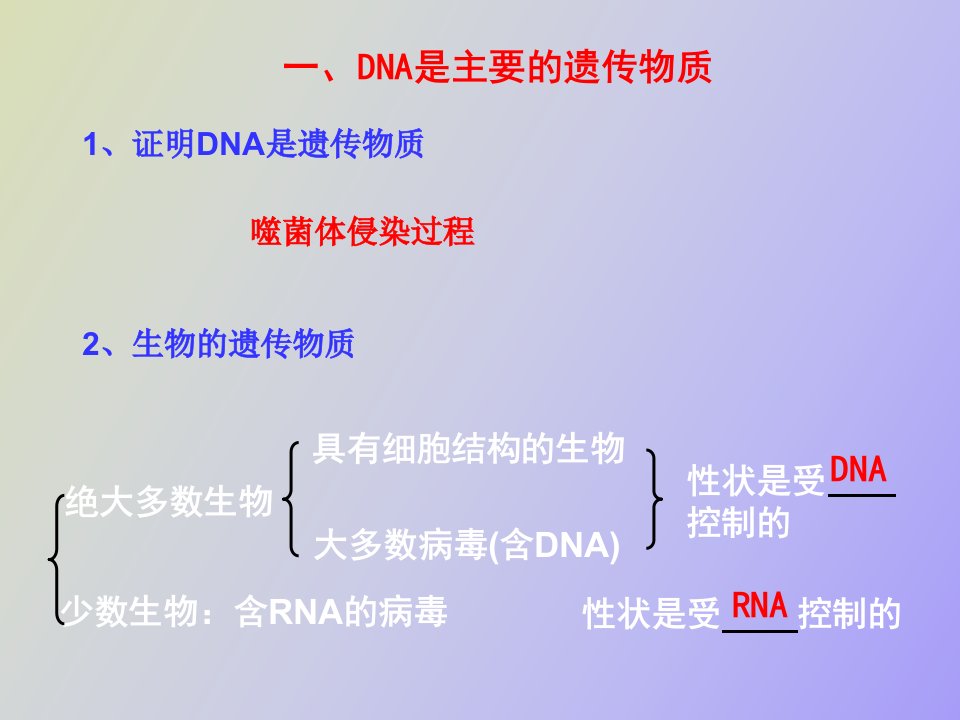 遗传的物质基础复习