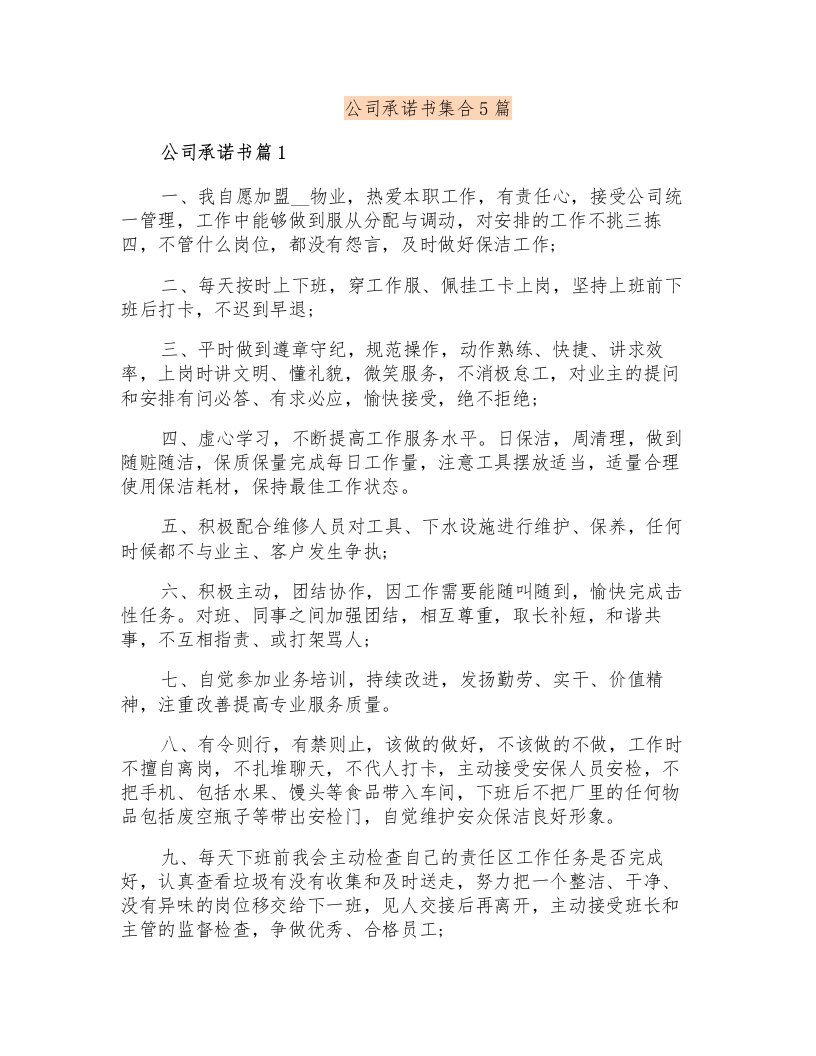 公司承诺书集合5篇