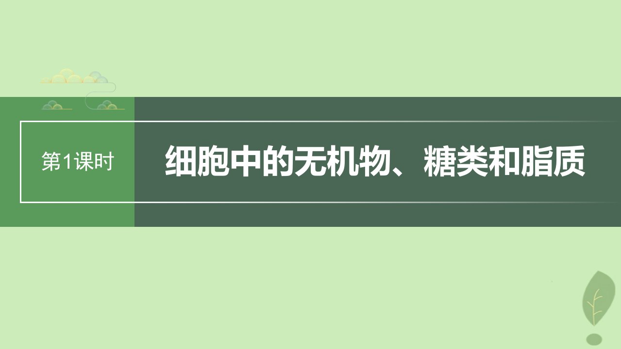 2024届高考生物一轮复习第一单元细胞的分子组成第1课时细胞中的无机物糖类和脂质课件苏教版