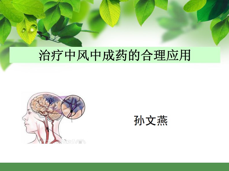 治疗中风中成药的合理应用课件