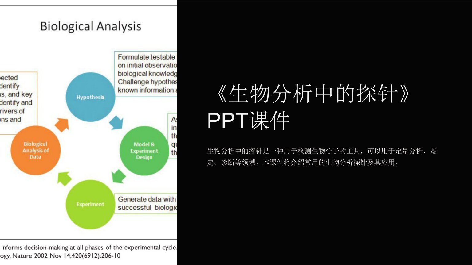 《生物分析中的探针》课件