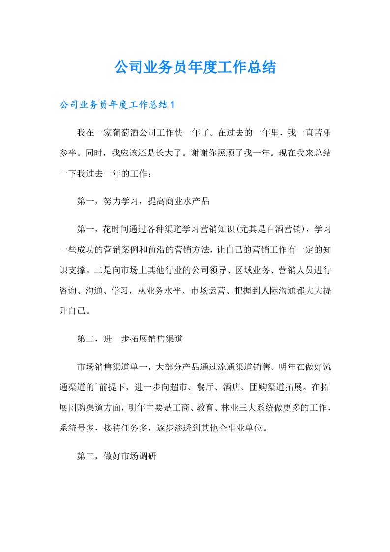 公司业务员年度工作总结