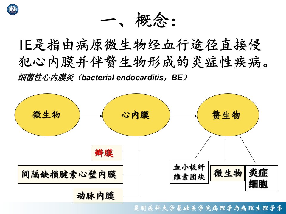 感染性心内膜炎课件