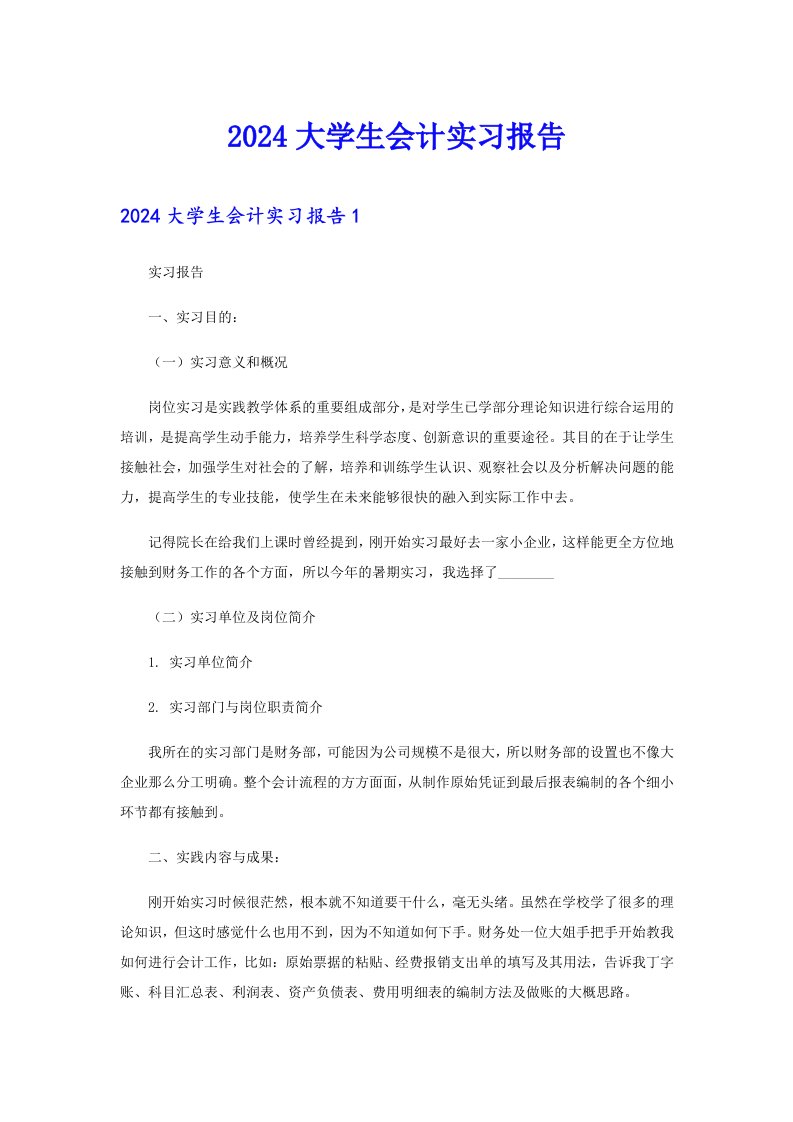 【精编】2024大学生会计实习报告