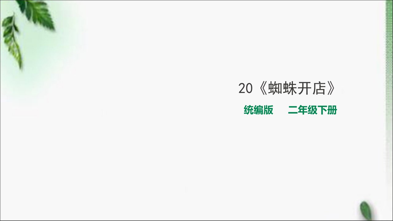 部编版小学语文二年级下册20《蜘蛛开店》ppt课件