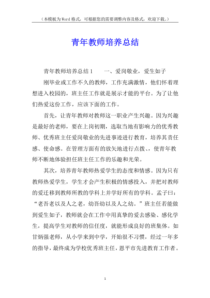 青年教师培养总结