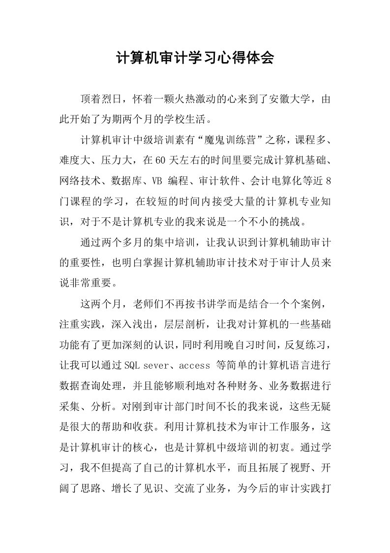 计算机审计学习心得体会.docx