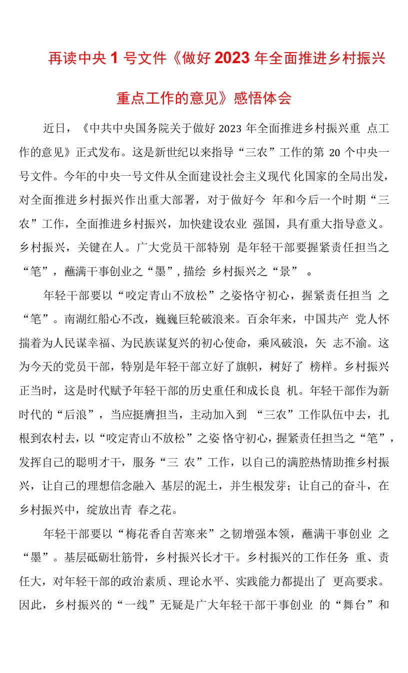 年轻干部学习中央1号文件《做好2023年全面推进乡村振兴重点工作的意见》感悟