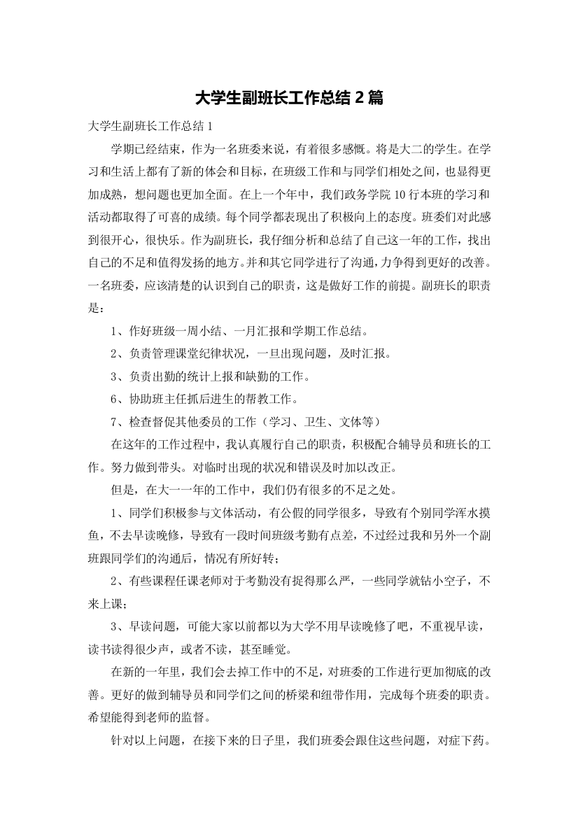 大学生副班长工作总结2篇