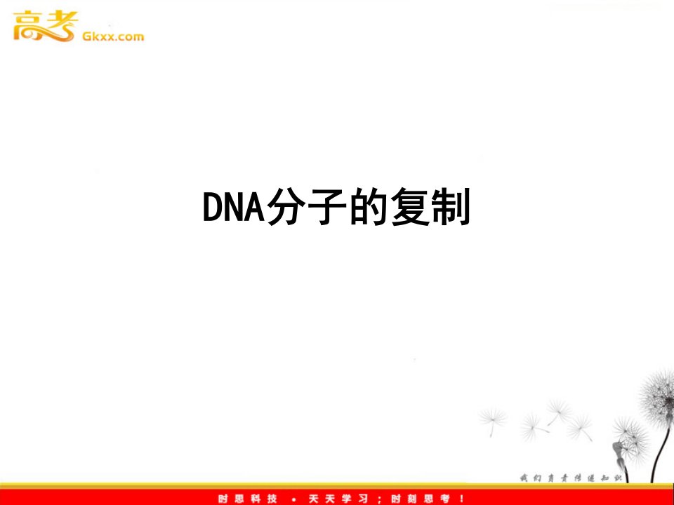 DNA分子的复制终稿