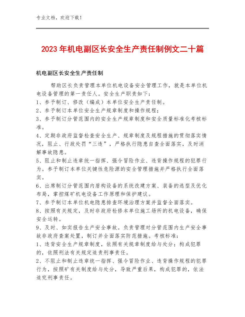 2023年机电副区长安全生产责任制例文二十篇