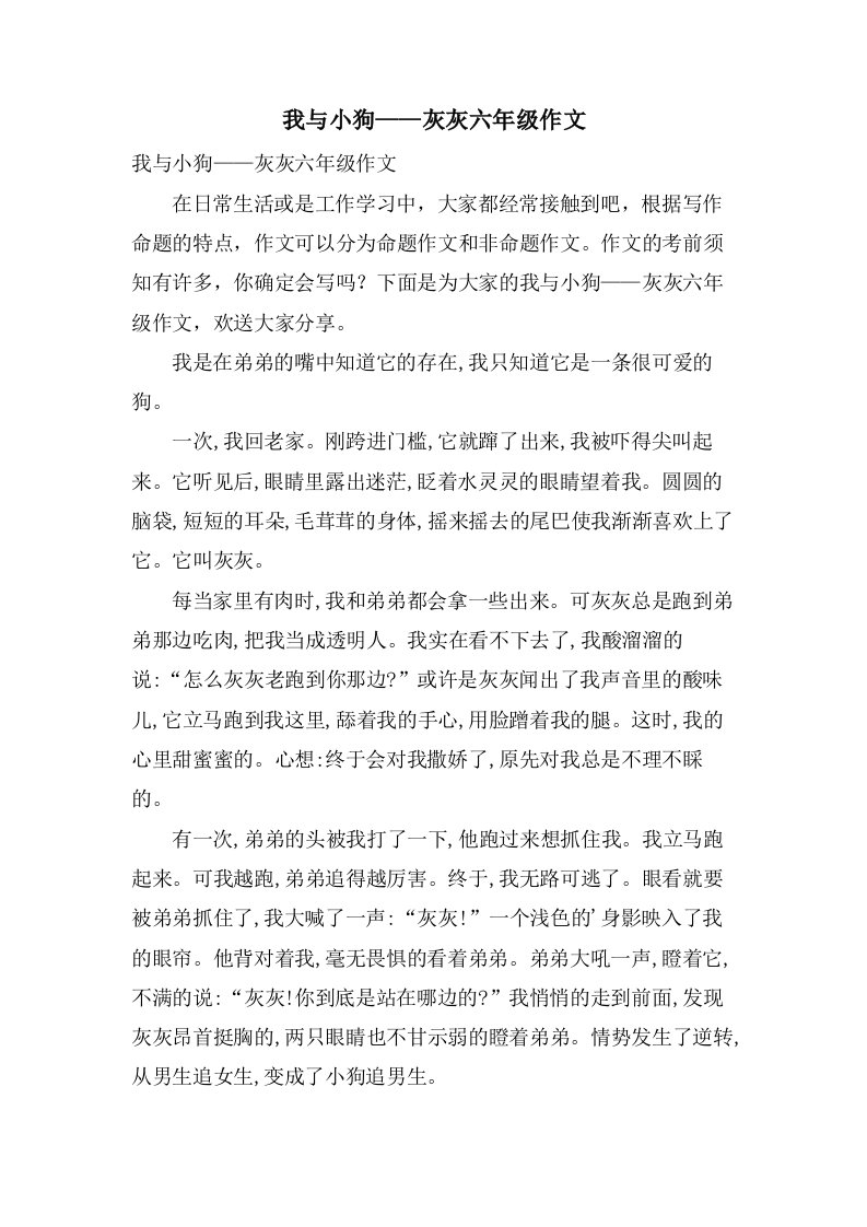 我与小狗——灰灰六年级作文