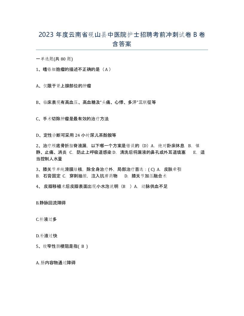 2023年度云南省砚山县中医院护士招聘考前冲刺试卷B卷含答案