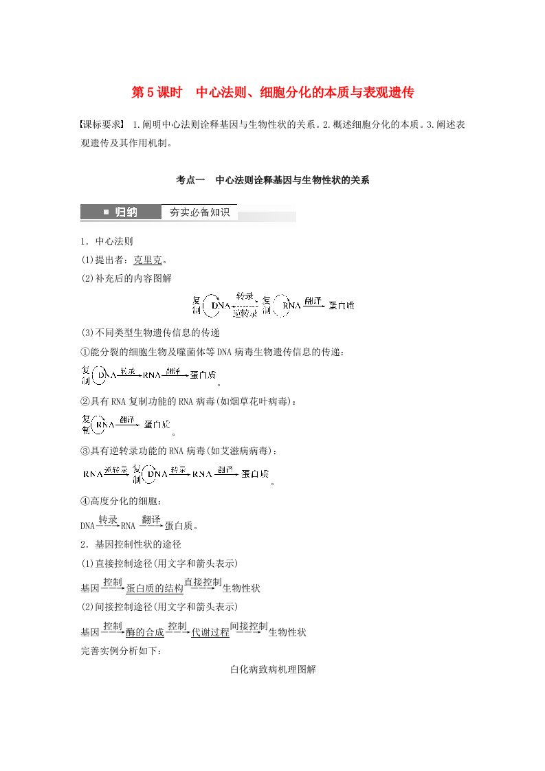 2024届高考生物一轮复习教案第六单元遗传的分子基础第5课时中心法则细胞分化的本质与表观遗传苏教版