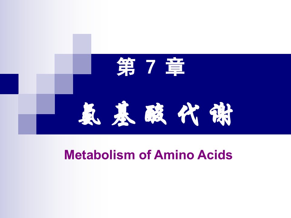 生物化学-第07章-氨基酸代谢