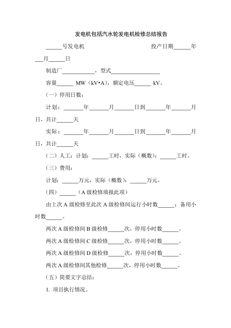 发电机包括汽水轮发电机检修总结报告