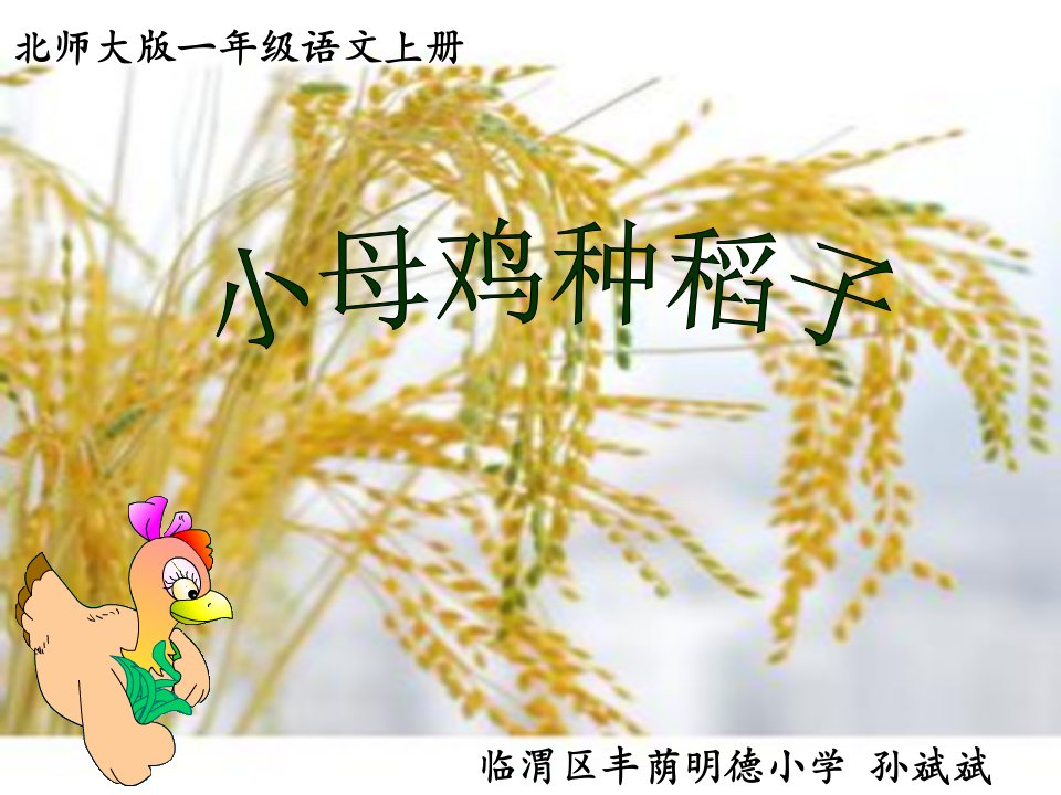 《小母鸡种稻子》