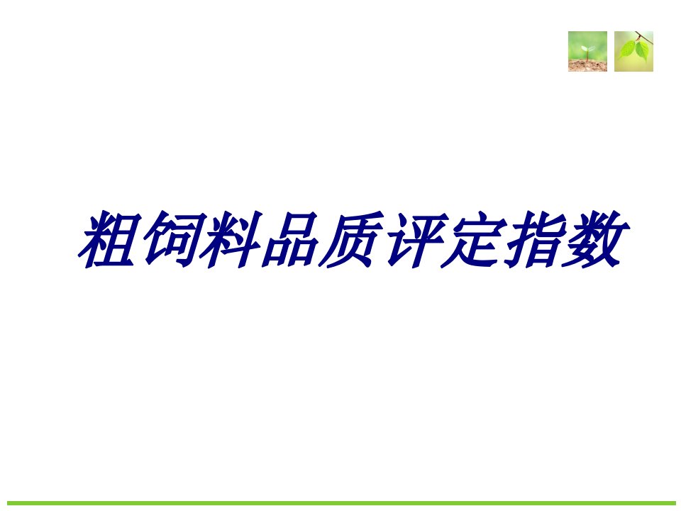 粗饲料品质评定指数经典课件