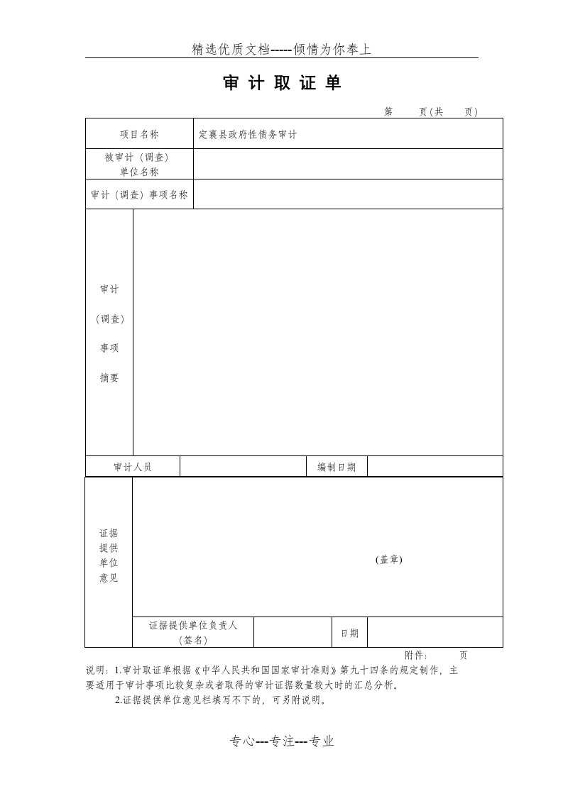 审计取证单(最新模板)(共1页)