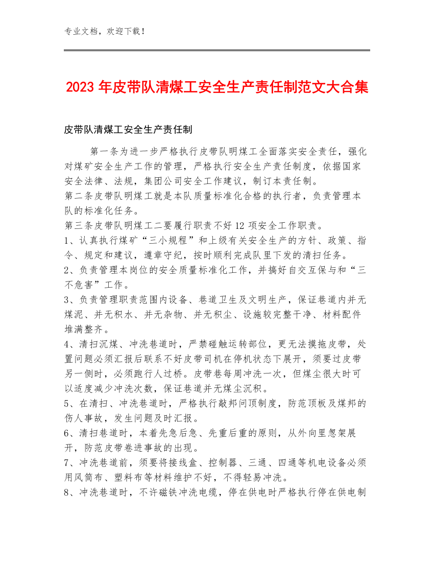 2023年皮带队清煤工安全生产责任制范文大合集