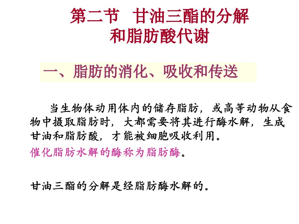 脂代谢江大食品生化