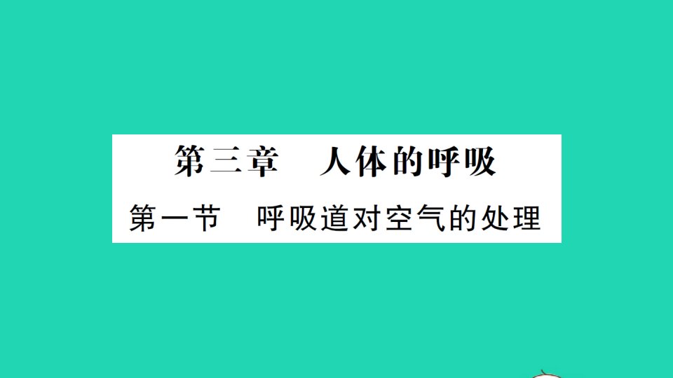 七年级生物下册第四单元生物圈中的人第三章人体的呼吸第一节呼吸道对空气的处理作业课件新版新人教版