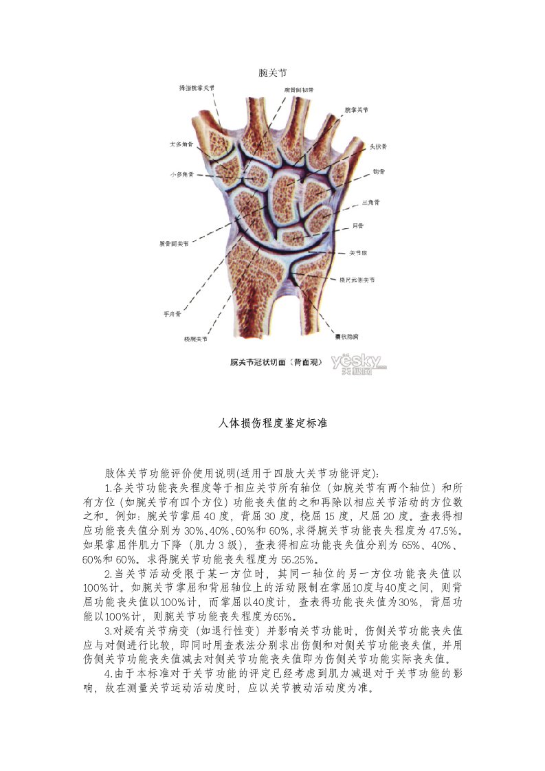 腕关节功能评分