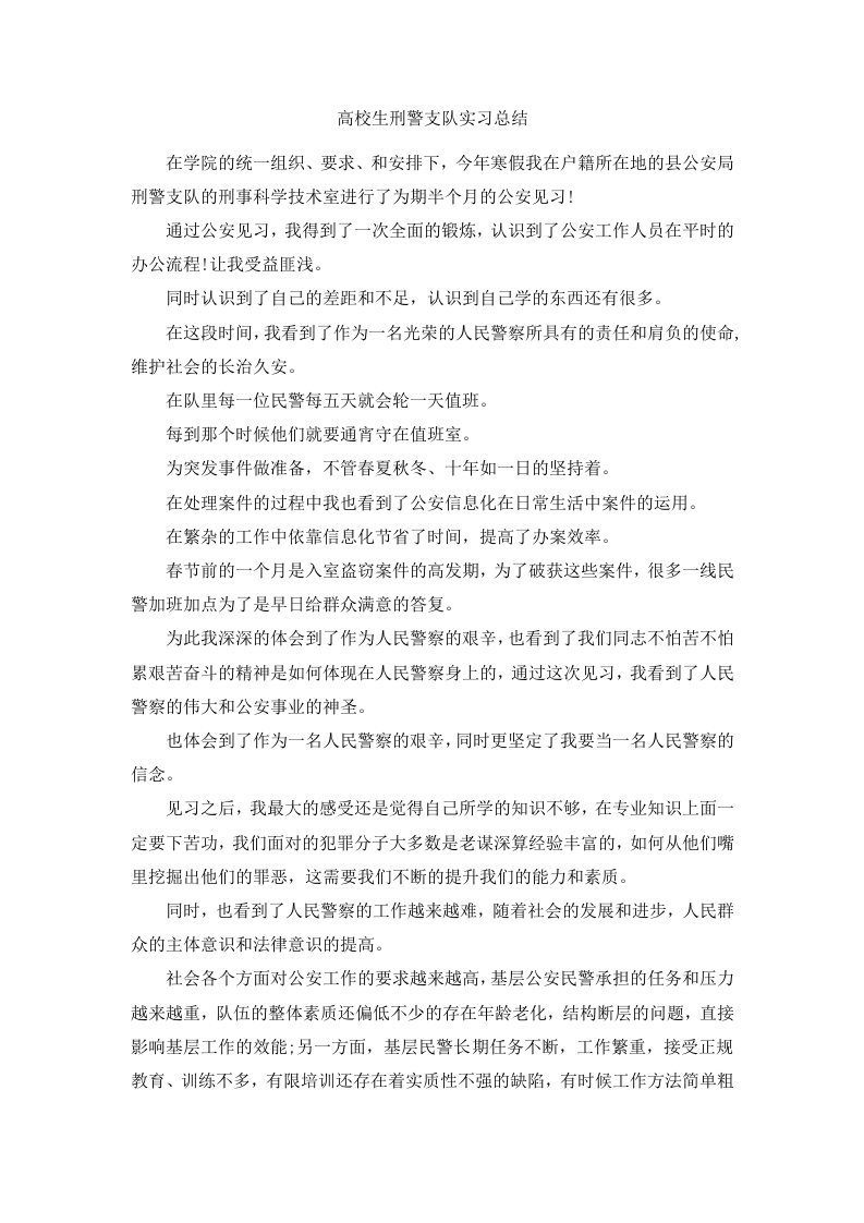 高校生刑警支队实习总结