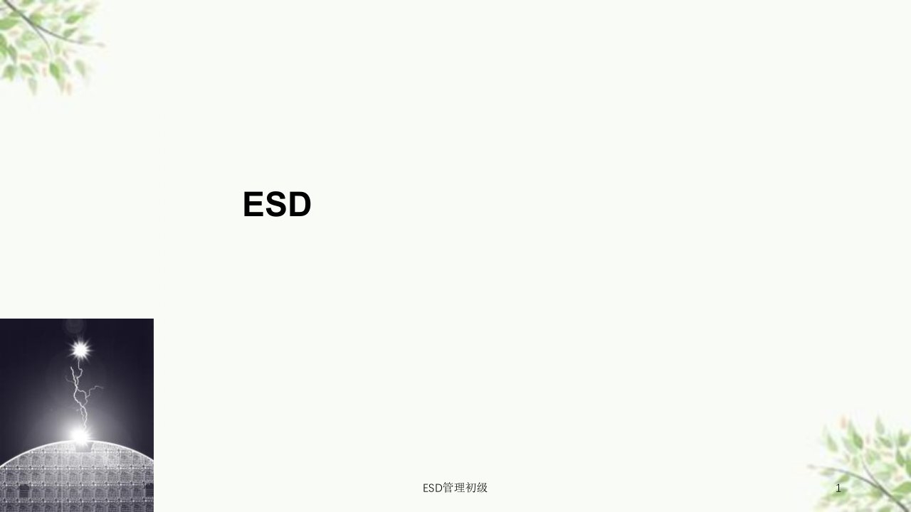 ESD管理初级课件