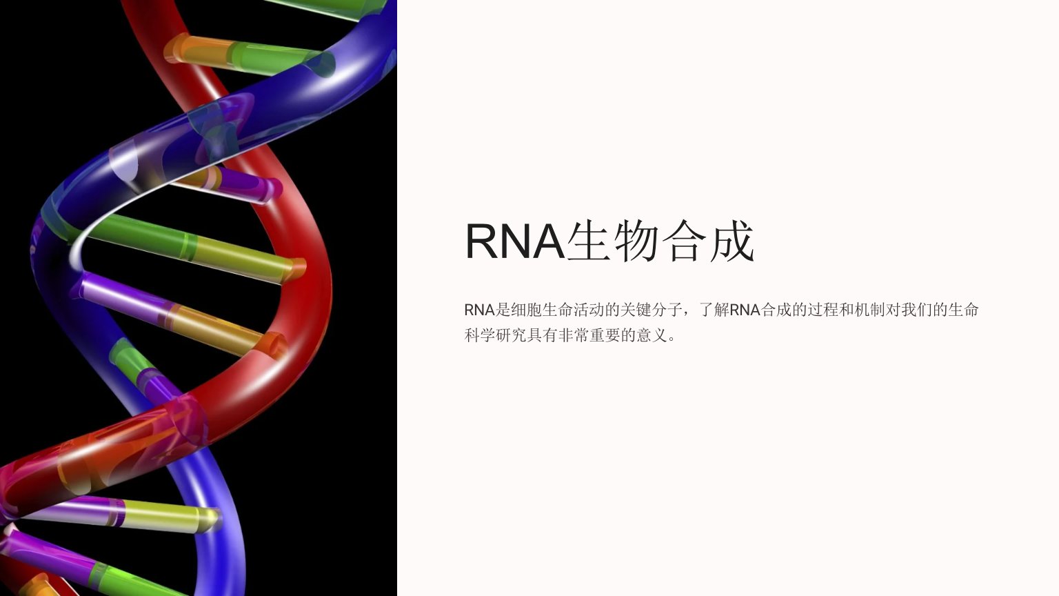 《RNA生物合成y》课件